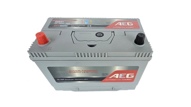 ΜΠΑΤΑΡΙΑ 60031 AEG 100ΑΗ